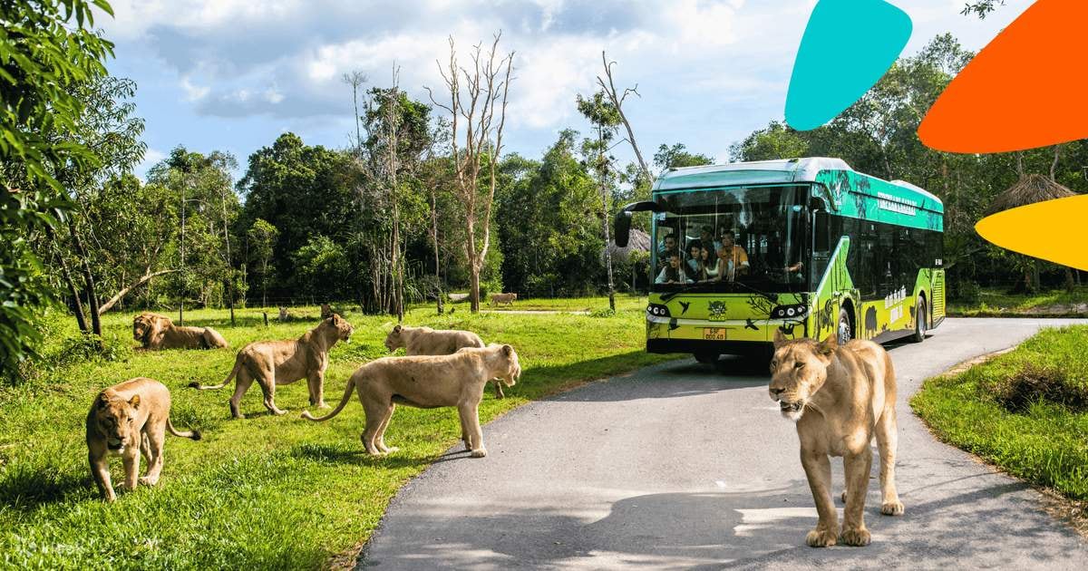 Go early to catch the safari bus, interact with animals during feeding hours, and grab a front-row seat for the Zulu show